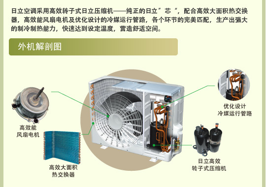 大香蕉性爱视频特性